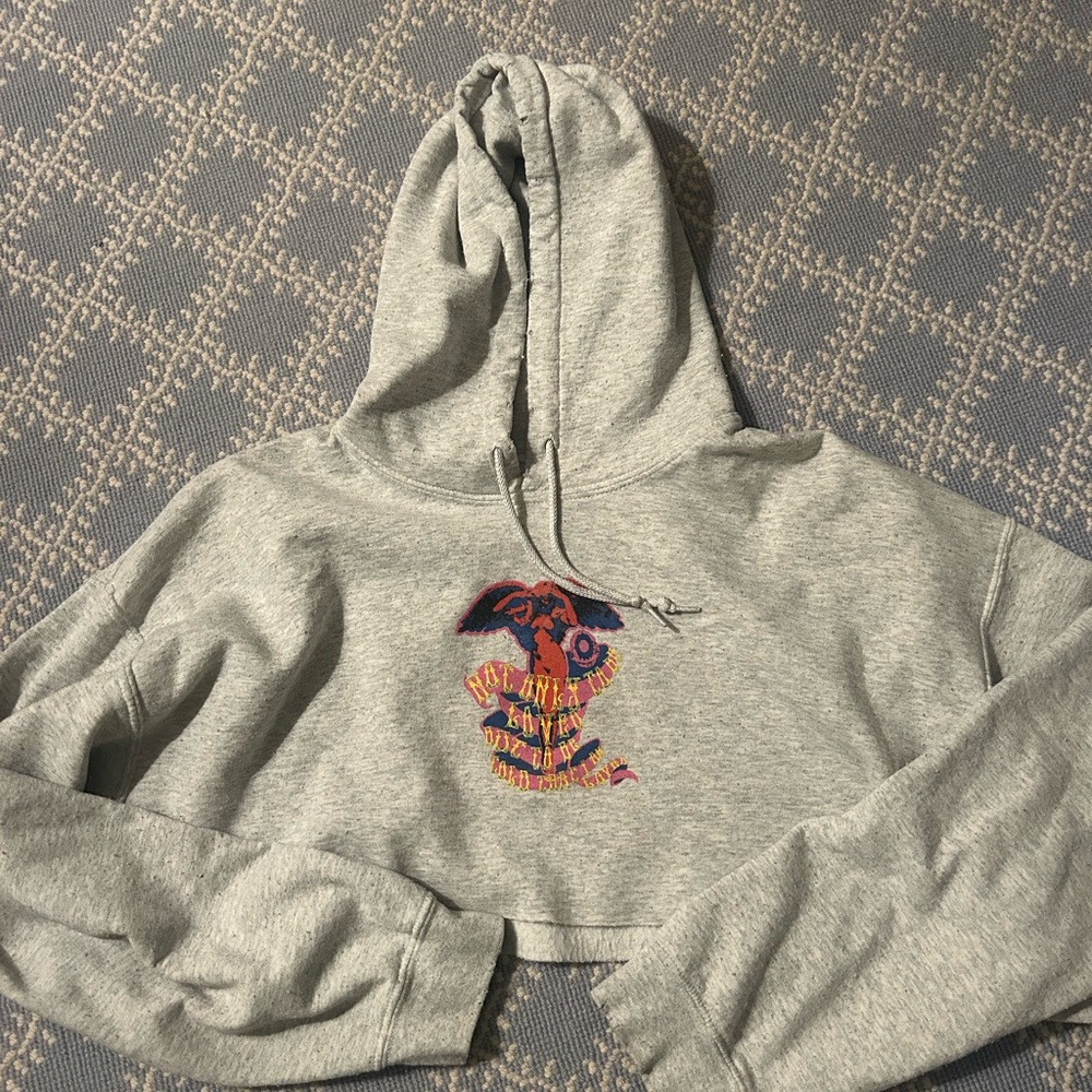 Boys Lie Light Gray Hoodie with Vibrant Logo
